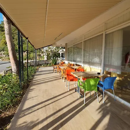 Apartment Delfin