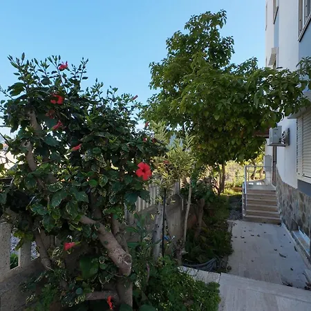 Apartment Delfin *